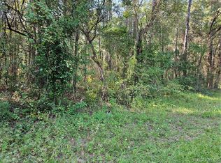 874 E Abend Dr, Citrus Springs, FL 34434