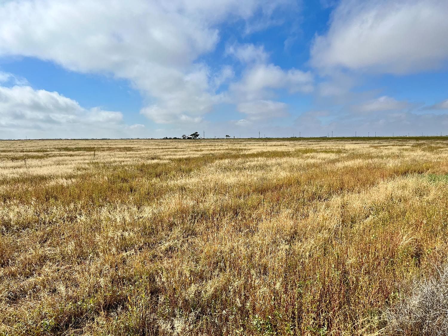 1 E County Road 5300, Idalou, TX 79329 Zillow