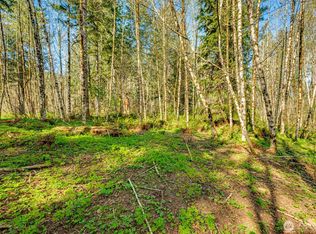 0 Buncombe Hollow Road NE, Woodland, WA 98674