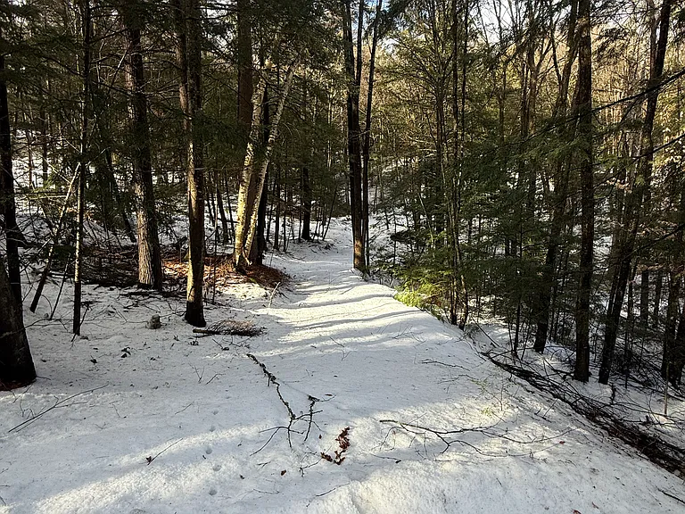19 Edgewood Ln — Photo 19