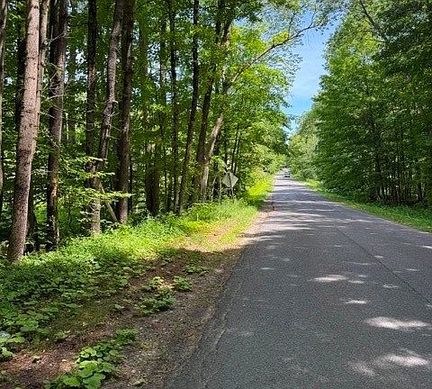 2nd image of 10145 Dustin Rd Lot 5