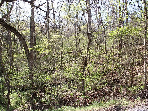 4th image of Lot #308 Elm Lane