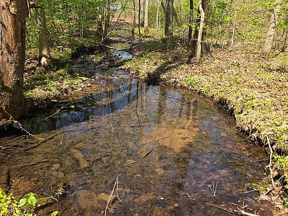 3rd image of 4149 Highway 49/lot #1