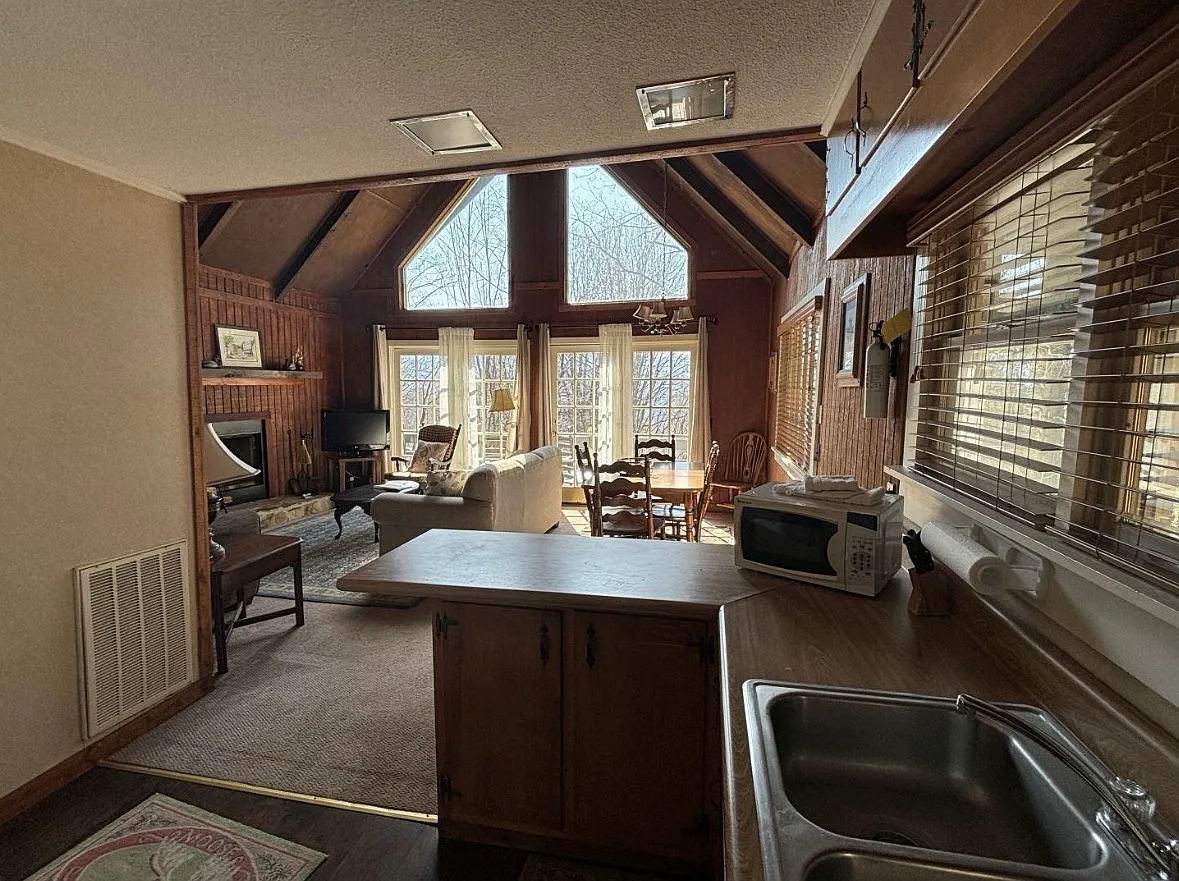 490 Chalet Village Ln — Photo 4