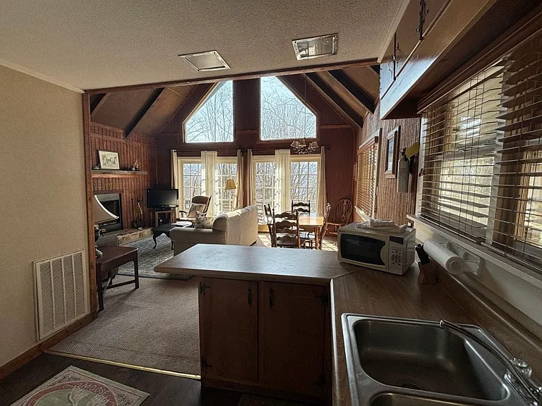 490 Chalet Village Ln — Photo 4