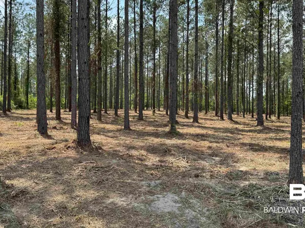 0 Ronald Sanks Rd, Bay Minette, AL 36507