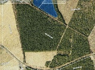 196 Hydrick Rd, Wagener, SC 29164