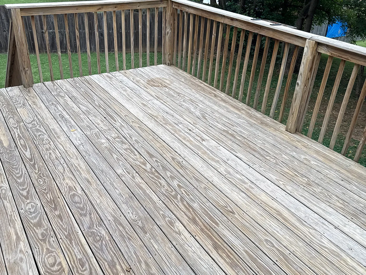 3 bed, $1,650 — Photo 3