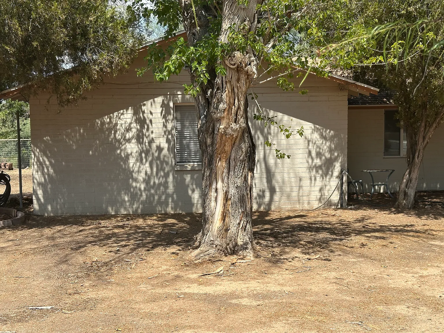 1 bed, $800 — Photo 3