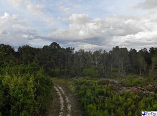 2222 W Cummings Rd, Effingham, SC 29541