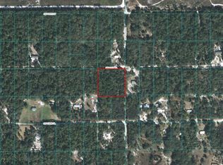 8992 SW 151st Pl, Dunnellon, FL 34432