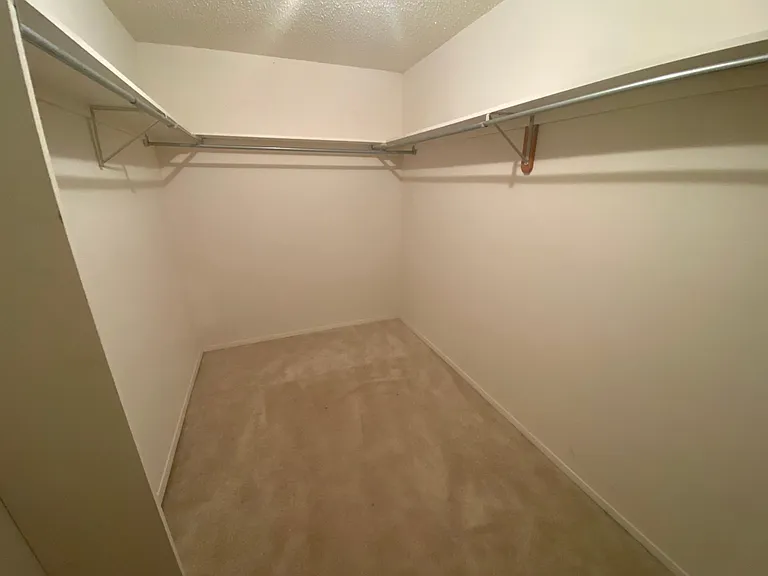 Master Walk-in Closet #1 (11'x7')