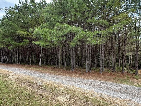 4th image of 0 Pine Loop A Dr
