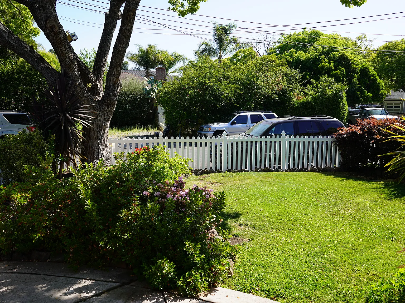 3 bed, 1.5 bath, 1150 sqft, $5,950 — Photo 3