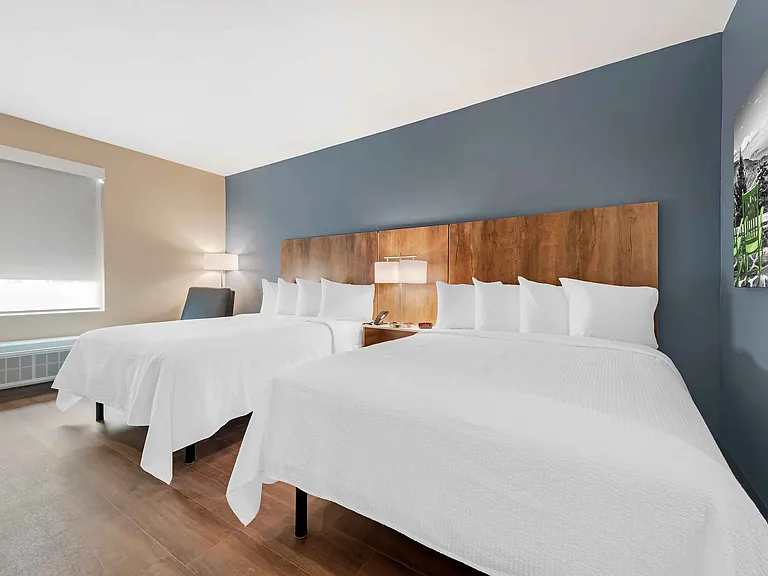 Studio Suite - 2 Queen Beds