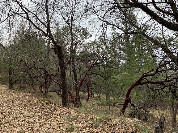 5th image of 9550 Seigler Springs North Rd