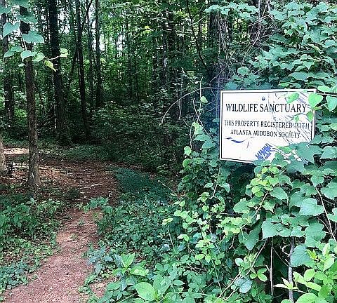 Sanctuary across street