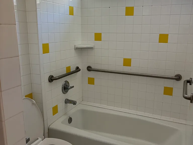 Bathroom 1 shower