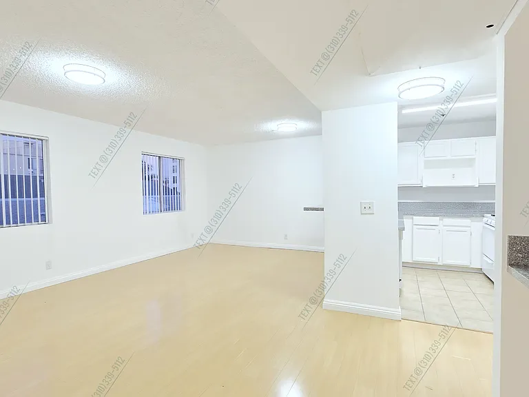 519 S Manhattan Pl #206 — Photo 15