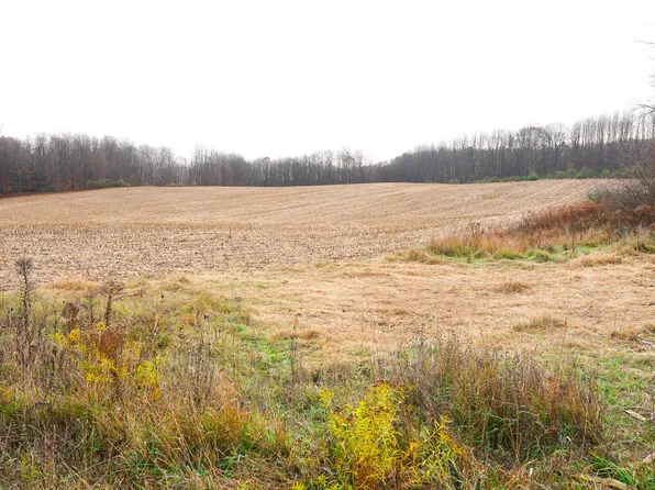 LOT 1 E Baker Rd, Hesperia, MI 49421