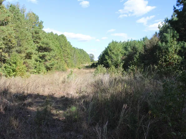 County Road 1508, Jacksonville, TX 75766