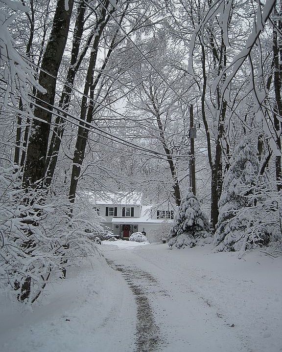 Winter wonderland