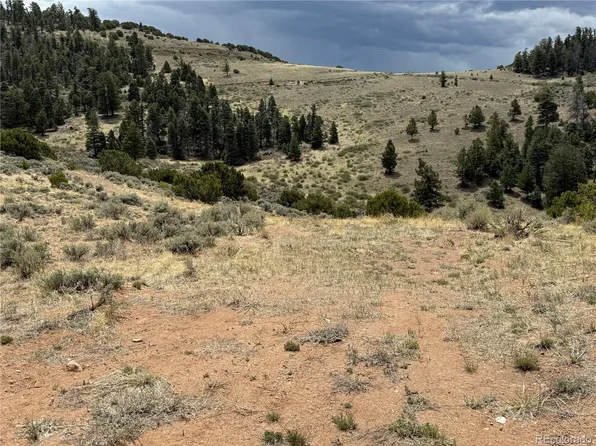 Lot 5428 Balleroy Road LOT 5428, Fort Garland, CO 81133