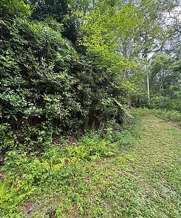 3rd image of 0 Crest Ln Lot 5