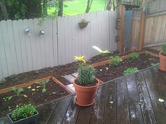 Back Deck