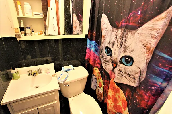 Rented by Alpha Properties NYC I LLC | media 10