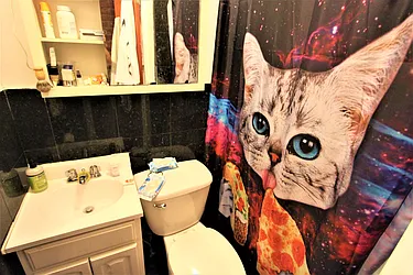 Rented by Alpha Properties NYC I LLC