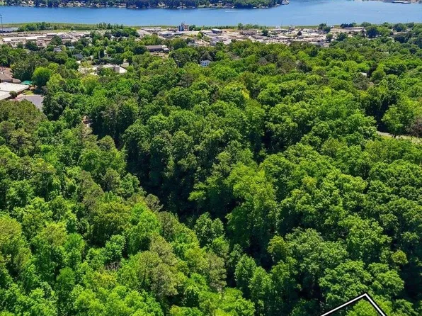 LOT 8 Lusk St, Guntersville, AL 35976
