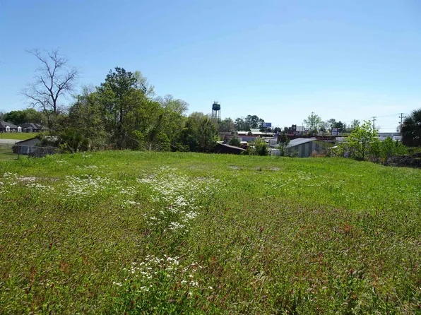 0.67 5th St, Florala, AL 36442