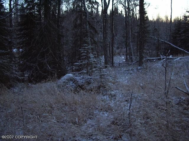 2nd image of L13 B1 Torrey Ct