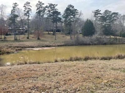 Tbd Cedar Road Andalusia Al, Alford, FL, 32420