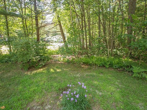 Back yard and 20,000 square foot wooded lot.