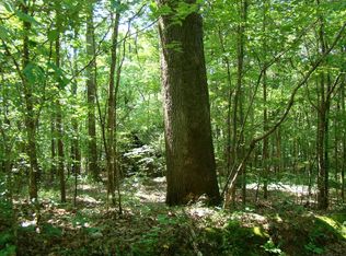 0 Webb Hollow Rd, Indian Mound, TN 37079