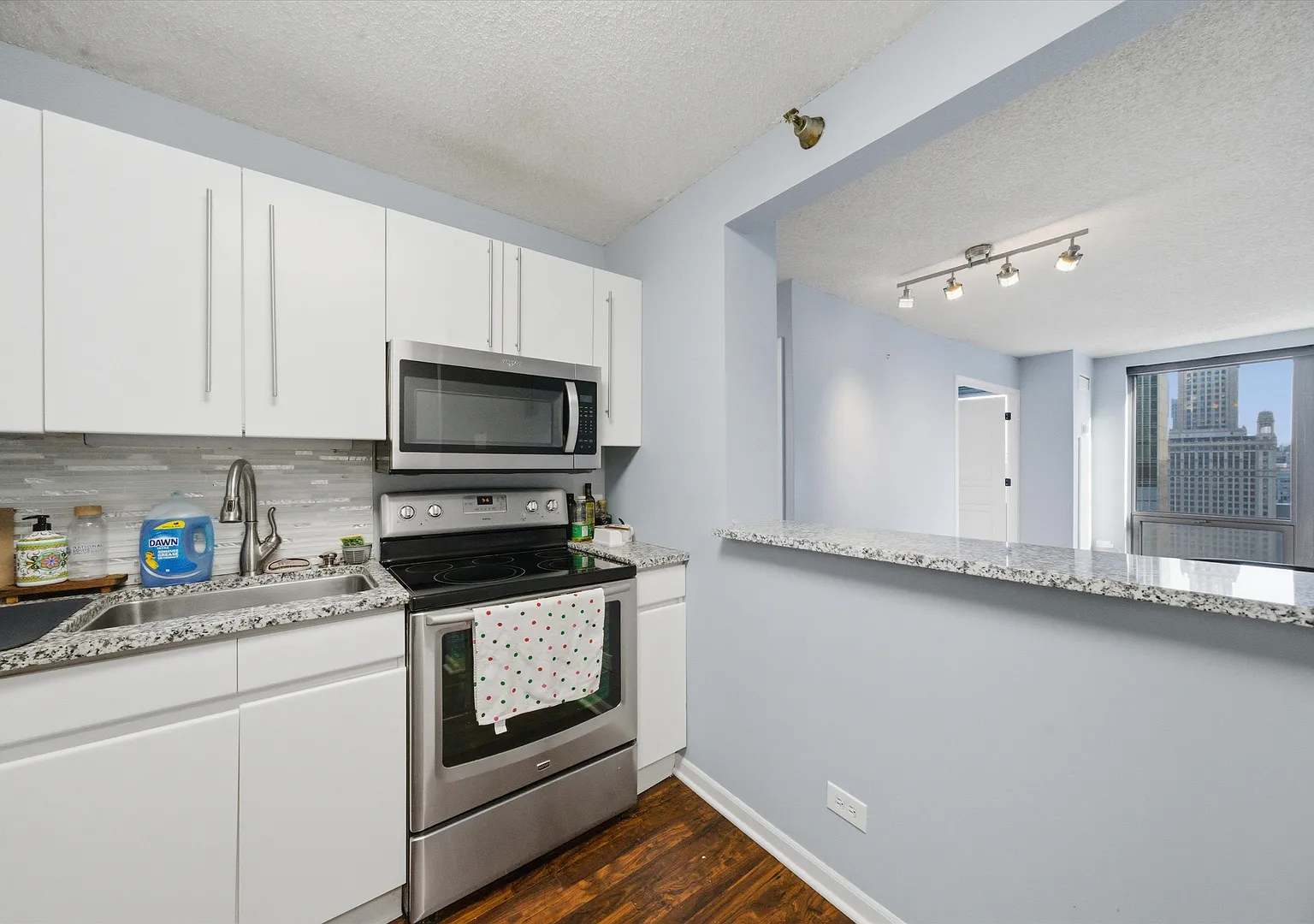 1 bed, 683 sqft, $2,300 — Photo 4