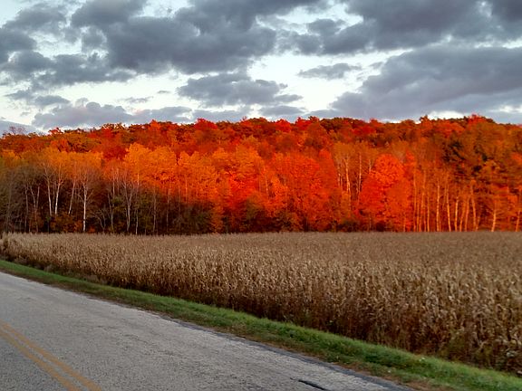 View to the east in Fall