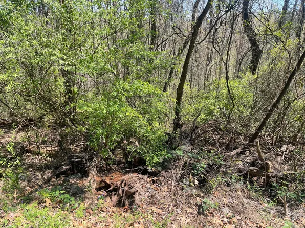 0 Georgia Ter, Rossville, GA 30741
