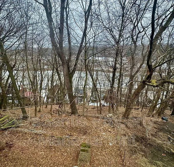 474 Spang Ave — Photo 57
