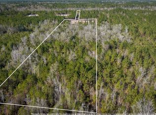 952 Boots Harrison Rd, Hortense, GA 31543