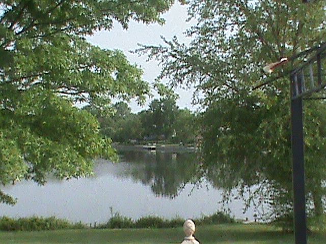 Backyard View from house