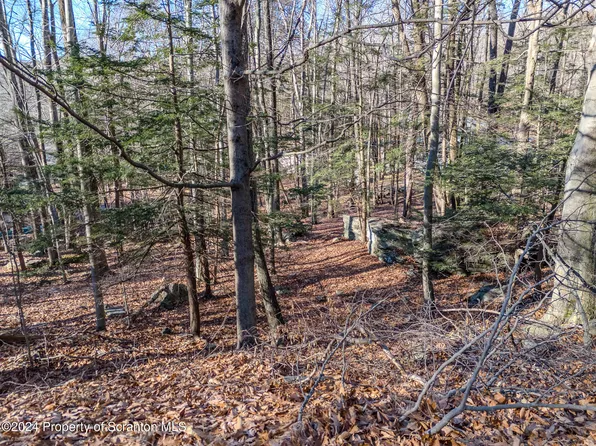 1 Sundew Rd, Lake Ariel, PA 18436