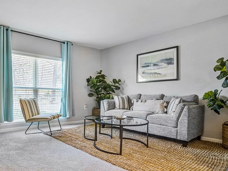 Classic Apartment Home