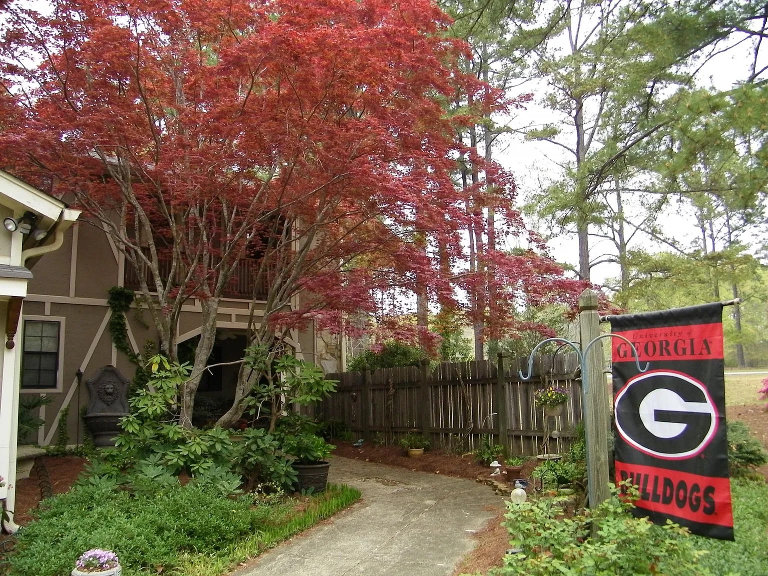 1051 Sherwood Dr — Photo 3