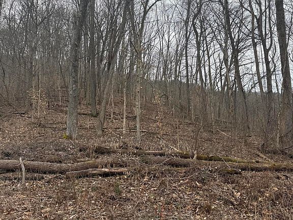 3rd image of 2016 Queensbury Ct