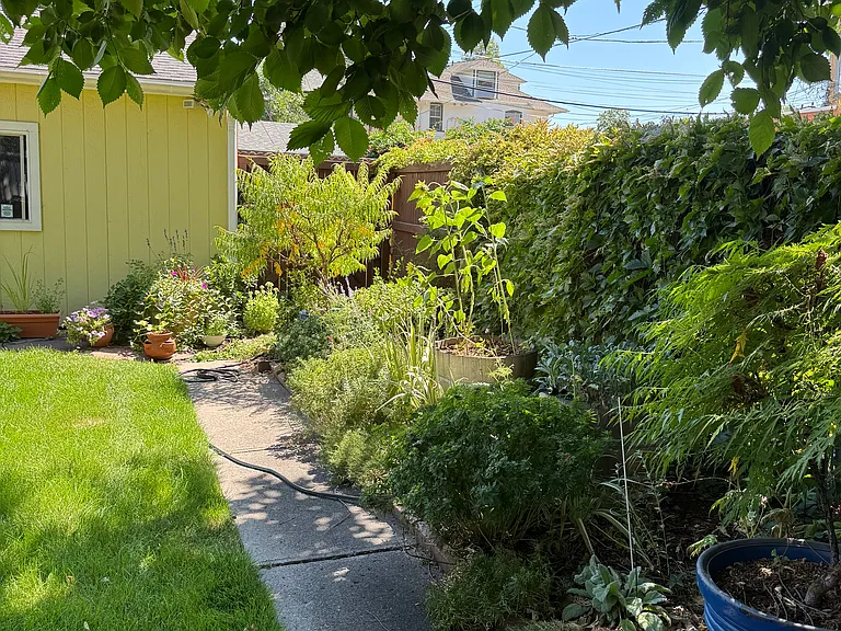 garden and path to garage from front door (fenced area for trash cans off alley)