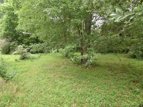 19273 Fm 756, Tyler, TX 75703