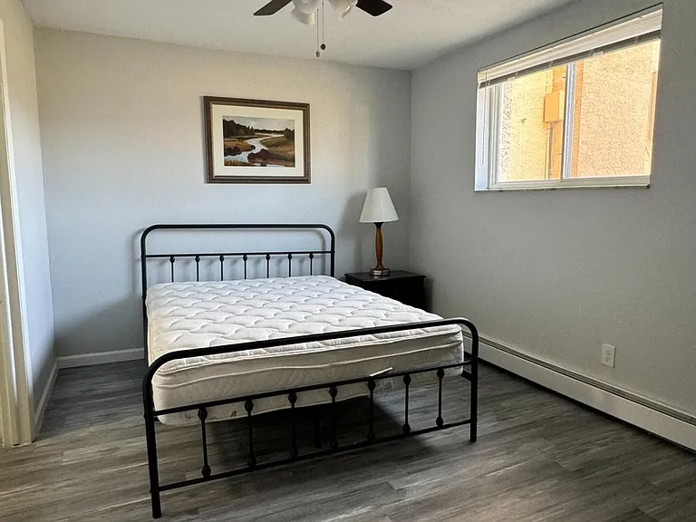 Master Bedroom with 2 closets. Approx 11x14 . One closet is walk-in.